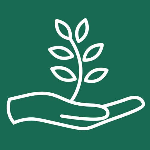 Rooted Physical Therapy header
