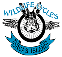 Wildlife Cycles header