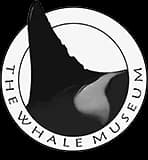 The Whale Museum header